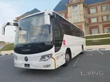 Direct Transportation from Doha to Saudi Arabia
